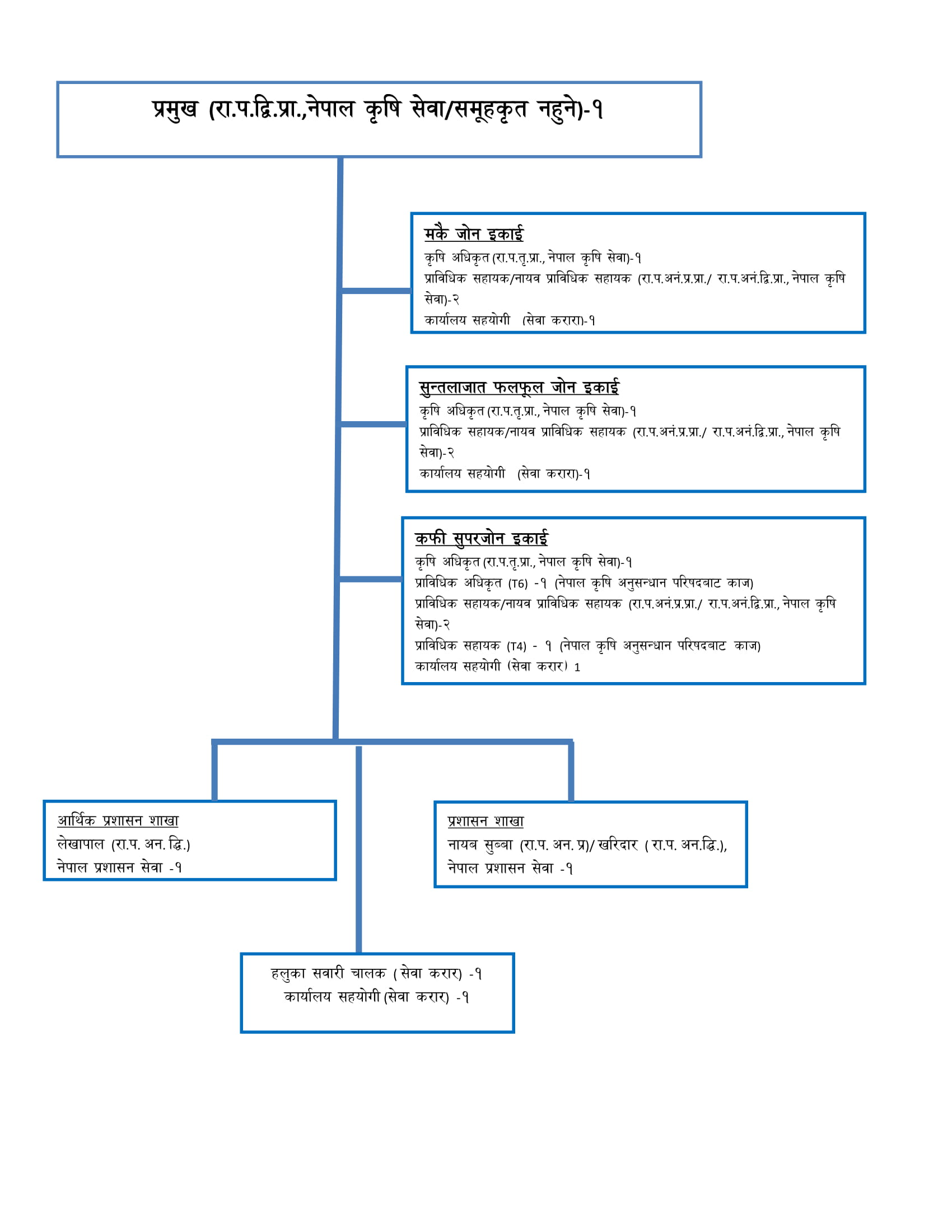 Organization Structure